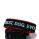 Branded: National Dog Day